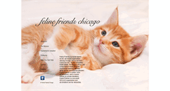Desktop Screenshot of felinefriendschicago.org