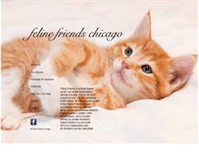 Tablet Screenshot of felinefriendschicago.org